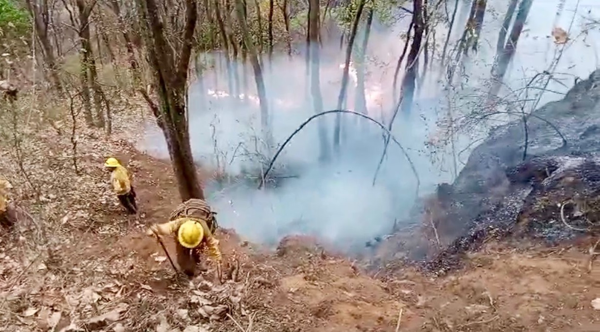 Autoridades Estatales Confirman Que El Incendio Forestal En Un Paraje