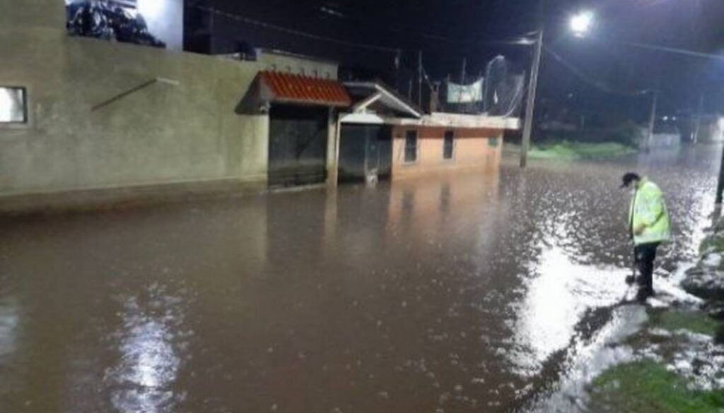 Deja lluvias inundaciones en dos casas de la alcaldía Tlalpan y un árbol caído en MH