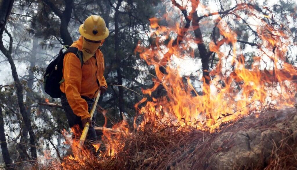 incendio-forestal-morelos-cuartoscuro-margarito-perez