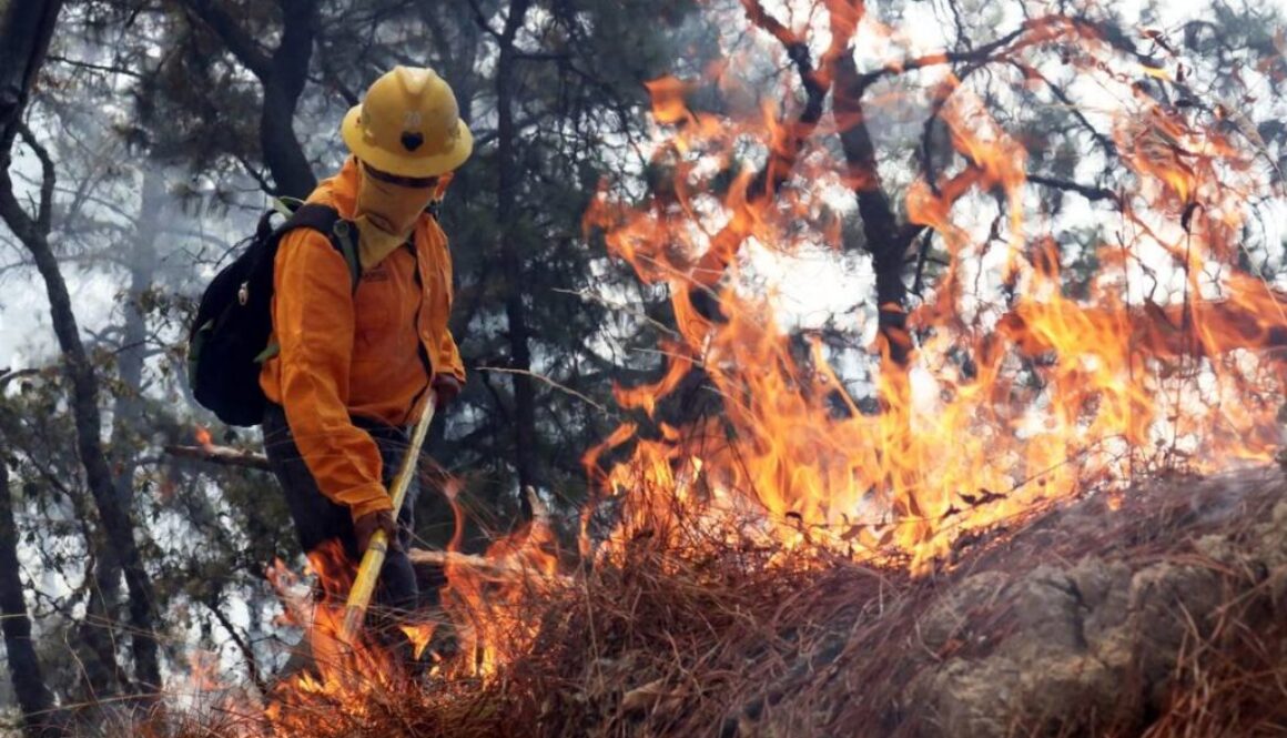 incendio-forestal-morelos-cuartoscuro-margarito-perez