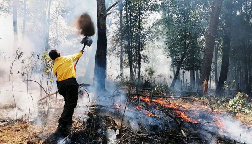 incendios-forestales-morelos