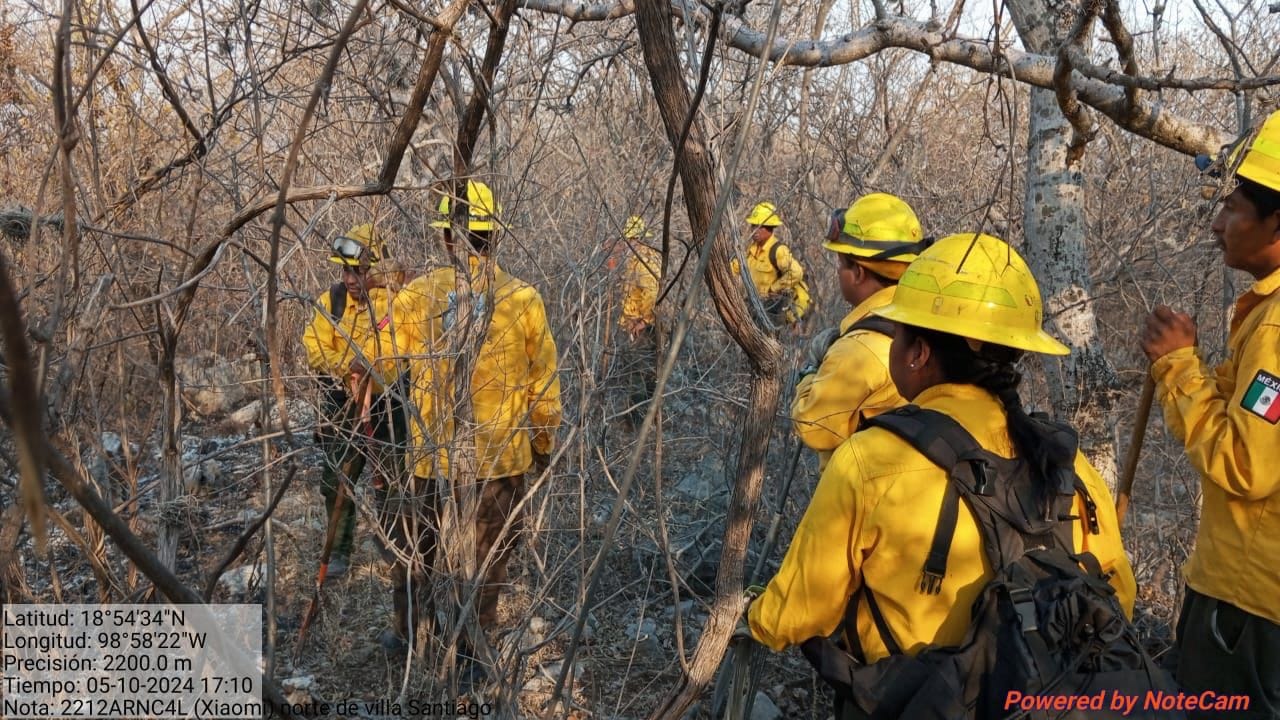 El Mando Unificado de Incendios Forestales atendió este viernes ocho conflagraciones, liquidando dos; seis se mantienen activos