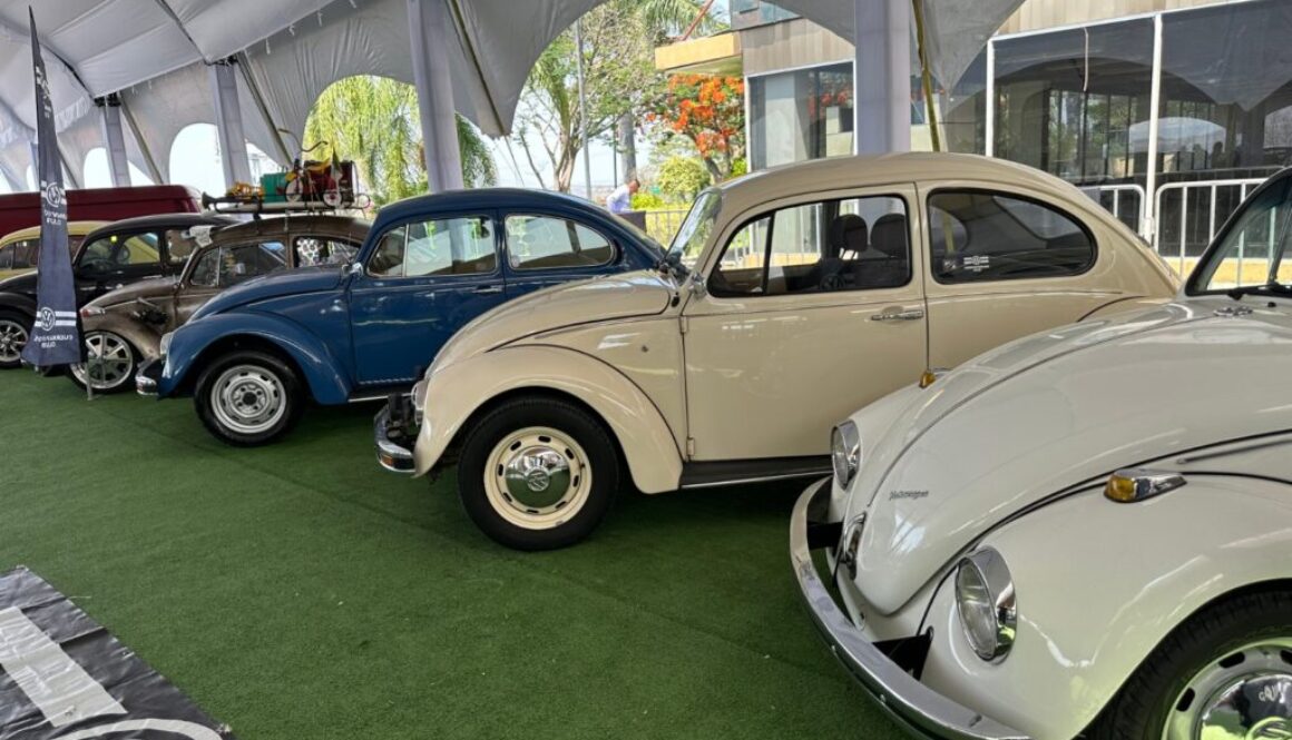 WhatsApp Image 2024-05-20 at 4.12.42 PM