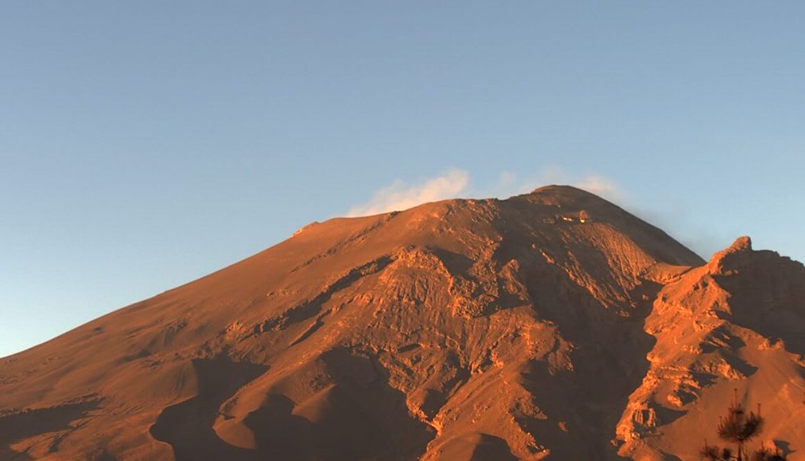 WhatsApp Image 2024-05-22 at 11.50.35 AM