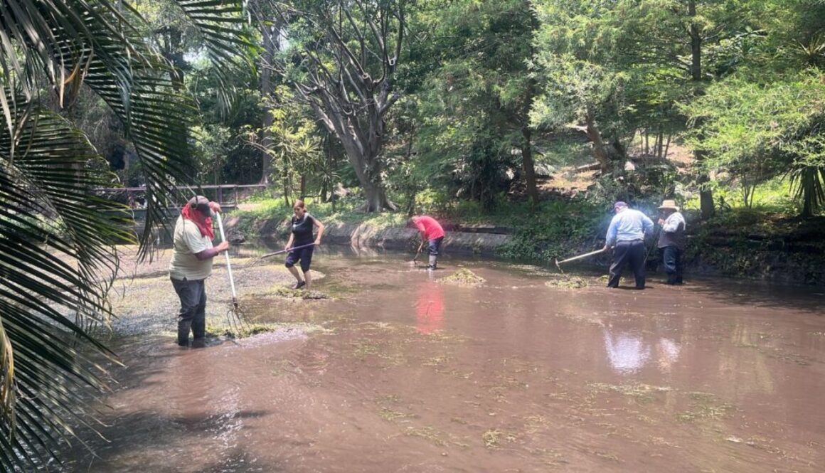 WhatsApp Image 2024-05-23 at 10.50.34 AM