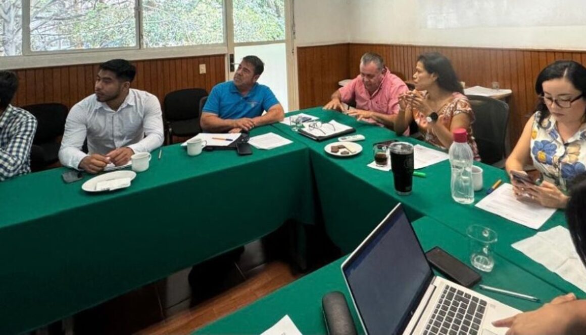 WhatsApp Image 2024-05-29 at 3.15.14 PM