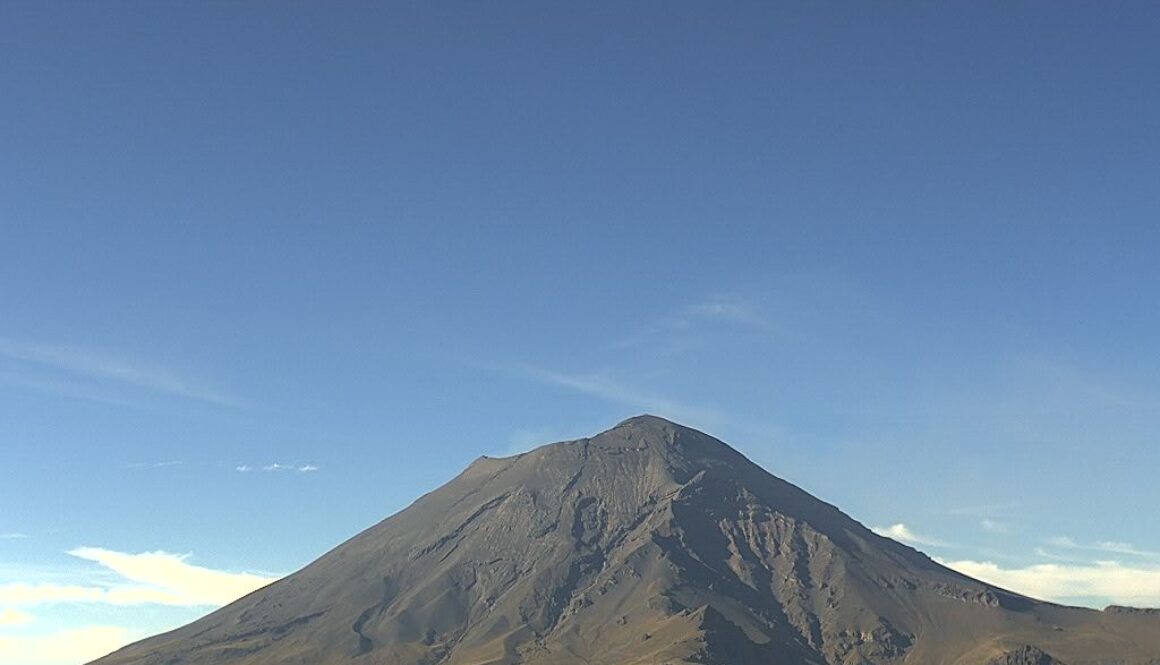 WhatsApp Image 2024-06-03 at 12.06.48 PM