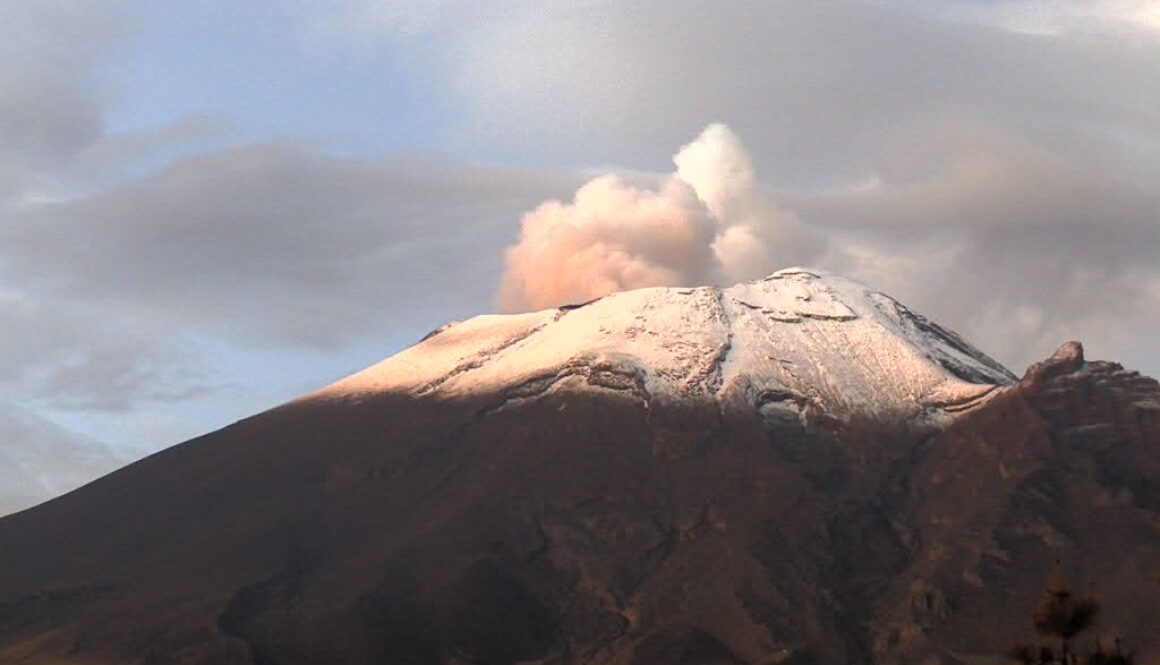 WhatsApp Image 2024-06-10 at 12.04.51 PM