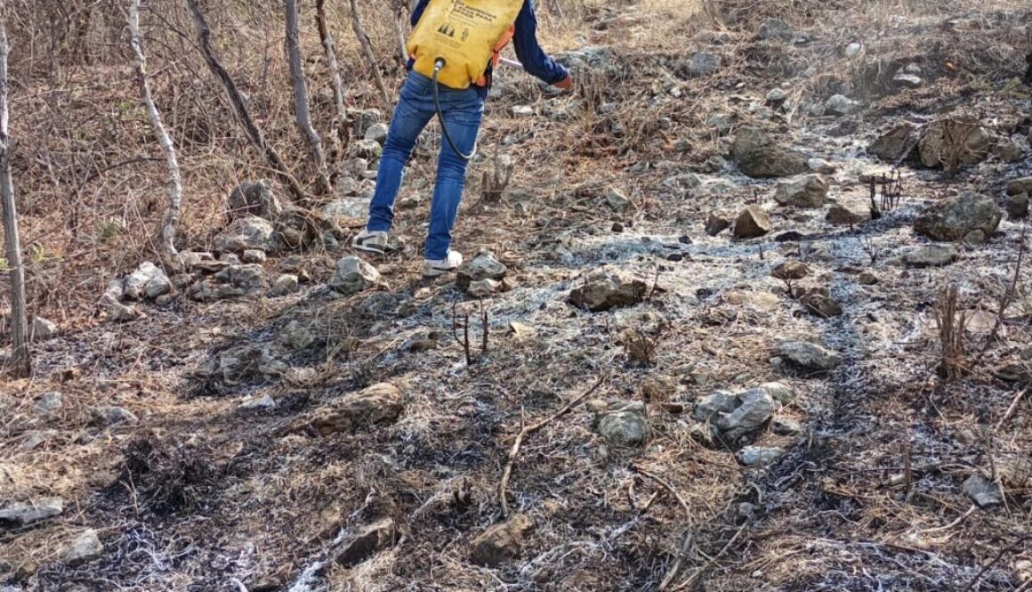 WhatsApp Image 2024-06-11 at 1.55.51 PM