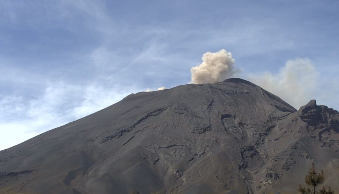 WhatsApp Image 2024-06-12 at 11.50.55 AM