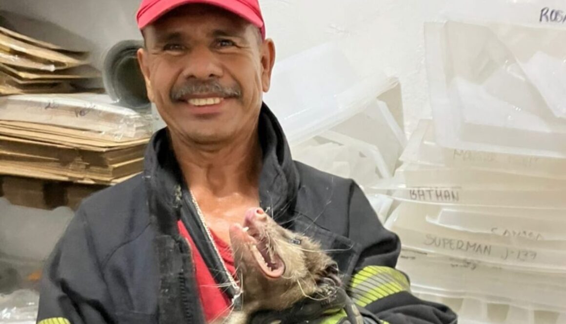 WhatsApp Image 2024-06-12 at 2.19.41 PM