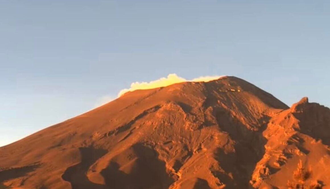 WhatsApp Image 2024-06-18 at 11.51.26 AM