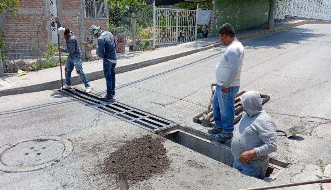 WhatsApp Image 2024-06-20 at 2.23.08 PM