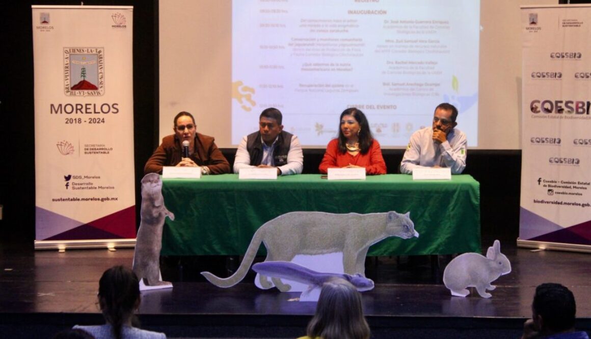 WhatsApp Image 2024-06-21 at 12.08.09 PM