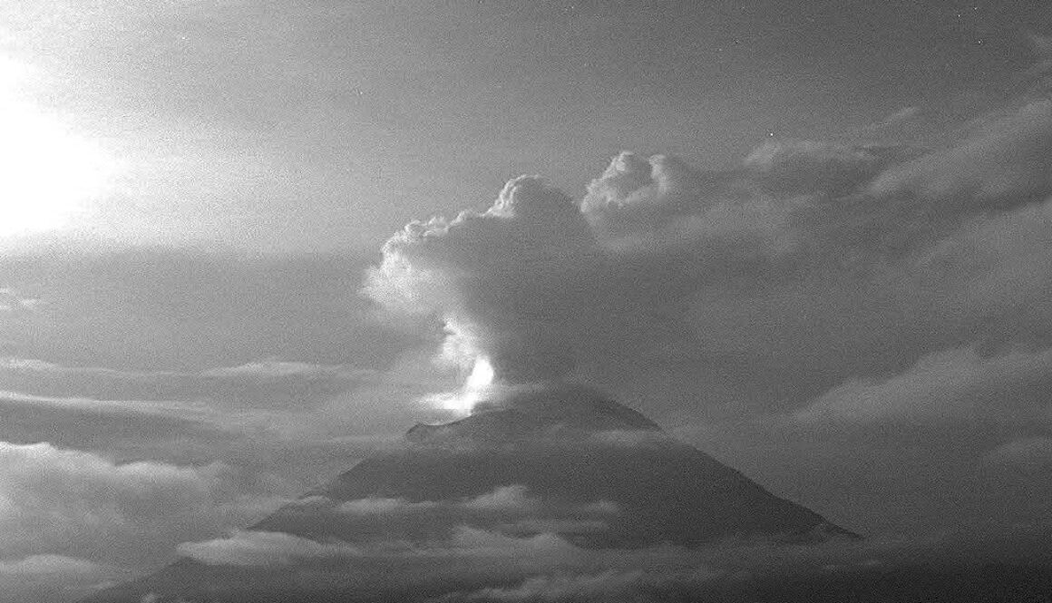 WhatsApp Image 2024-06-24 at 12.35.13 PM