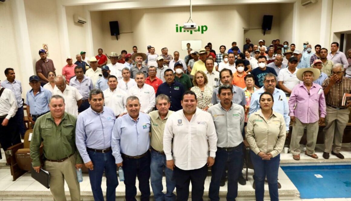 WhatsApp Image 2024-06-26 at 8.00.42 AM