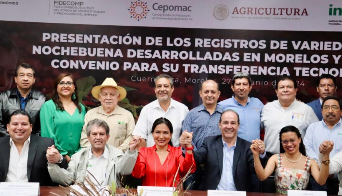 WhatsApp Image 2024-06-27 at 3.24.19 PM