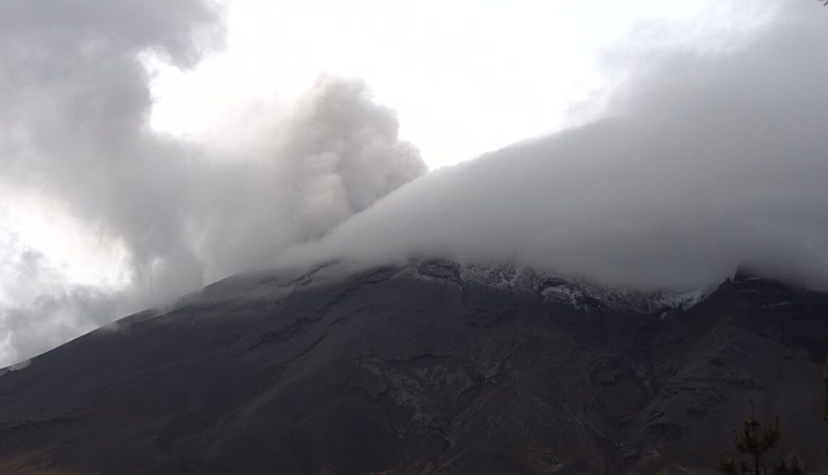 WhatsApp Image 2024-06-28 at 11.45.22 AM