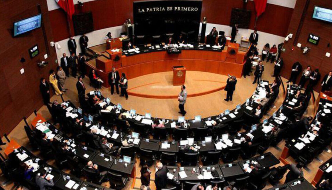 Camara-de-senadores-1024x531