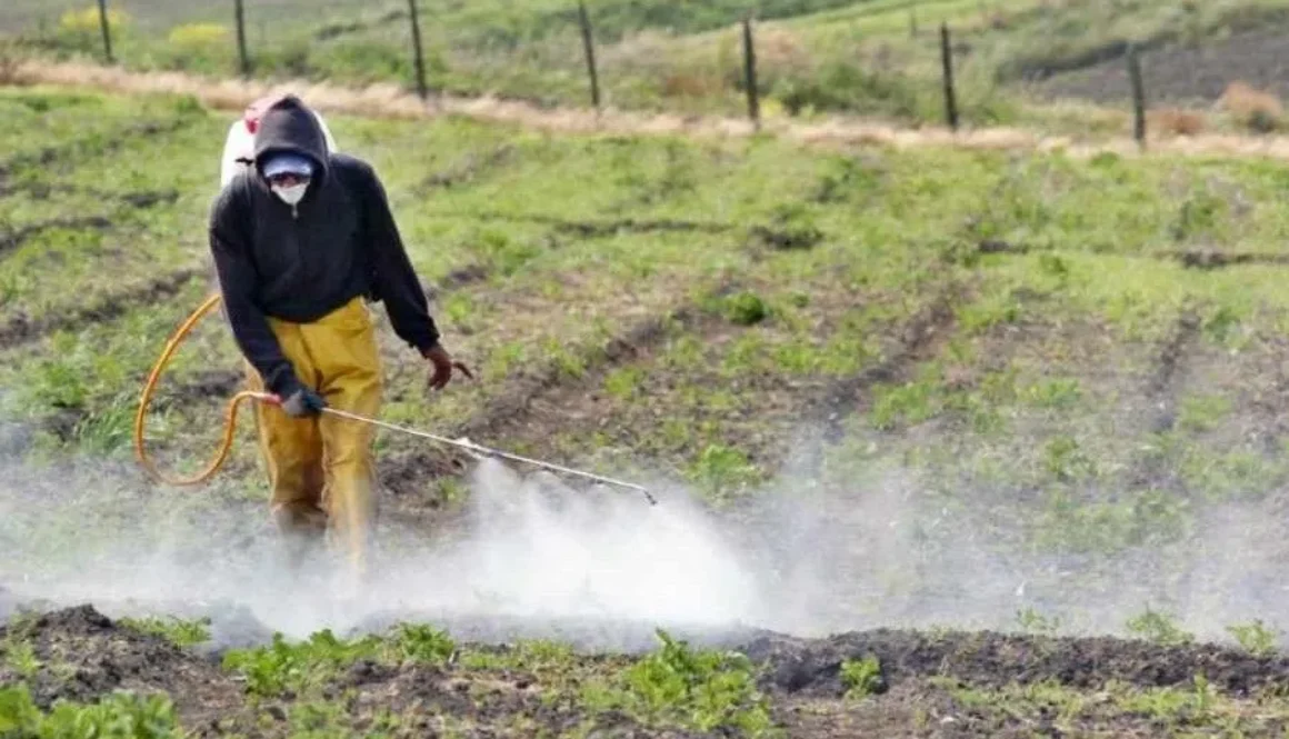 Peligros-a-la-seguridad-y-salud-en-agricultura