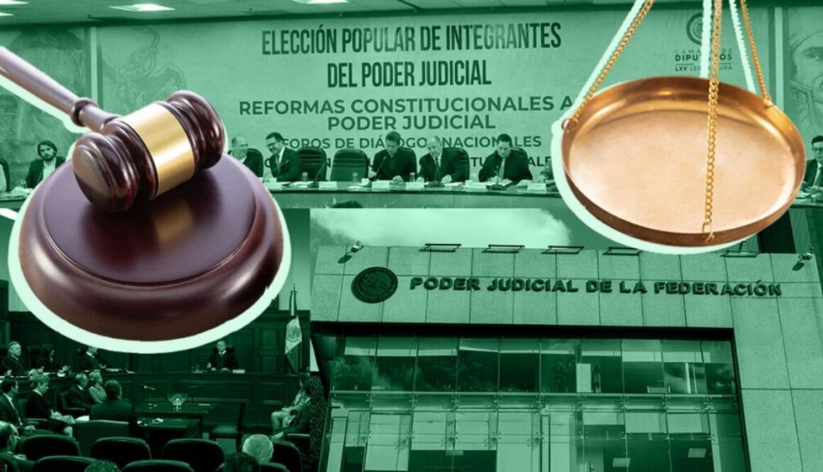 reforma_poder_judicial_elecciones_ministros_nayelly_tenorio_ilustracion.jpg_554688468