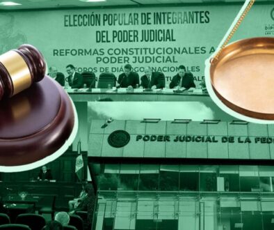 reforma_poder_judicial_elecciones_ministros_nayelly_tenorio_ilustracion.jpg_554688468