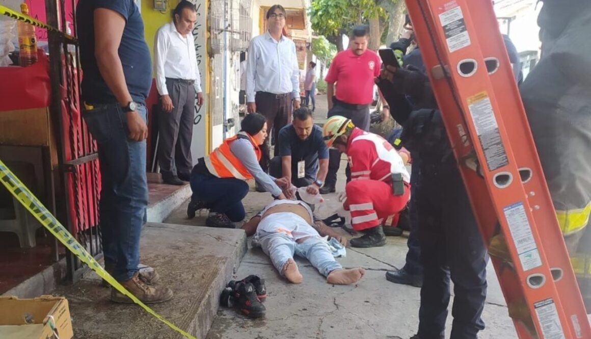Imagen de WhatsApp 2024-11-12 a las 16.33.19_1c6556e8