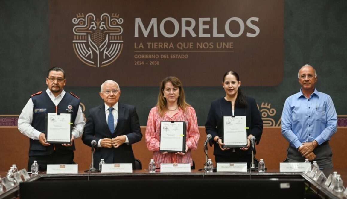 Imagen de WhatsApp 2024-12-13 a las 08.00.24_ea54153d