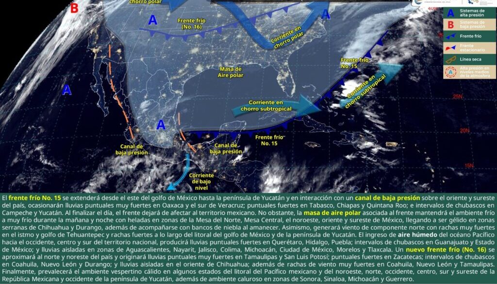 Imagen de WhatsApp 2024-12-20 a las 11.55.42_765bfaba