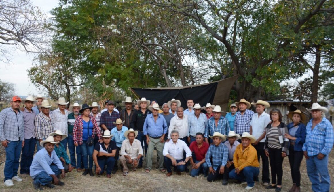 WhatsApp Image 2024-12-14 at 12.35.07 PM