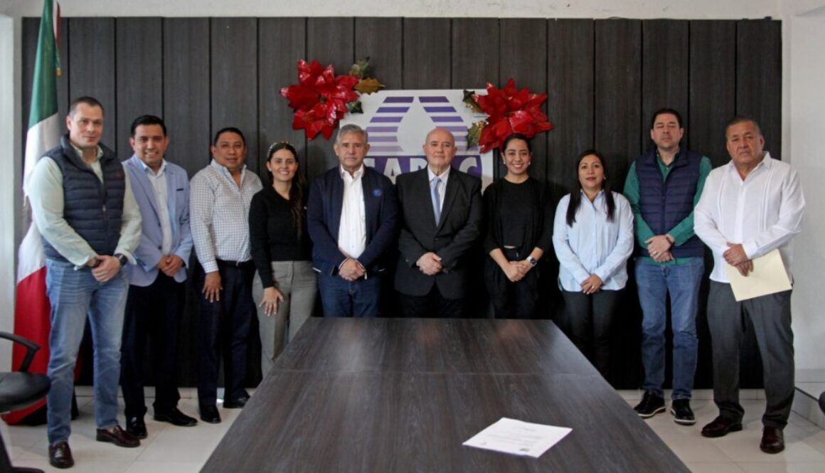 Imagen de WhatsApp 2025-01-02 a las 11.53.28_27c6ba75