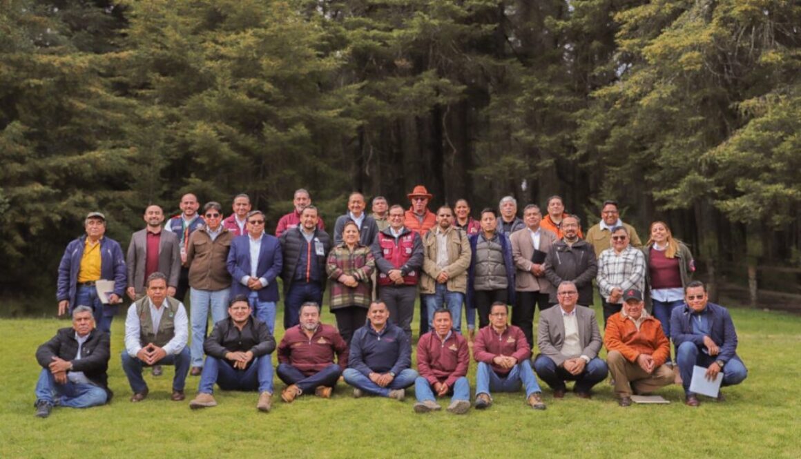 Imagen de WhatsApp 2025-01-06 a las 08.32.59_3ecacf31