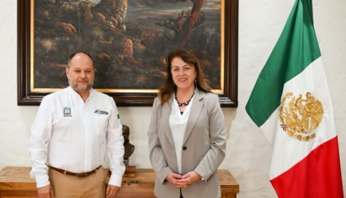 Imagen de WhatsApp 2025-01-08 a las 14.04.49_6b5c7522