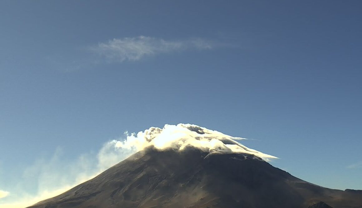 Imagen de WhatsApp 2025-01-10 a las 11.48.18_807dadc4