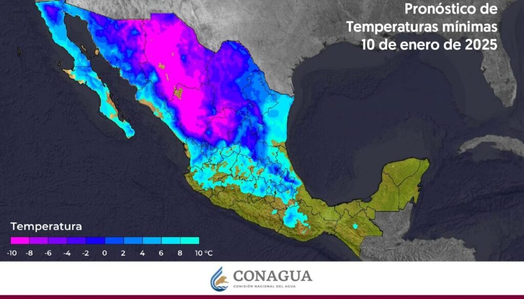 Imagen de WhatsApp 2025-01-10 a las 12.47.26_529dfe0e