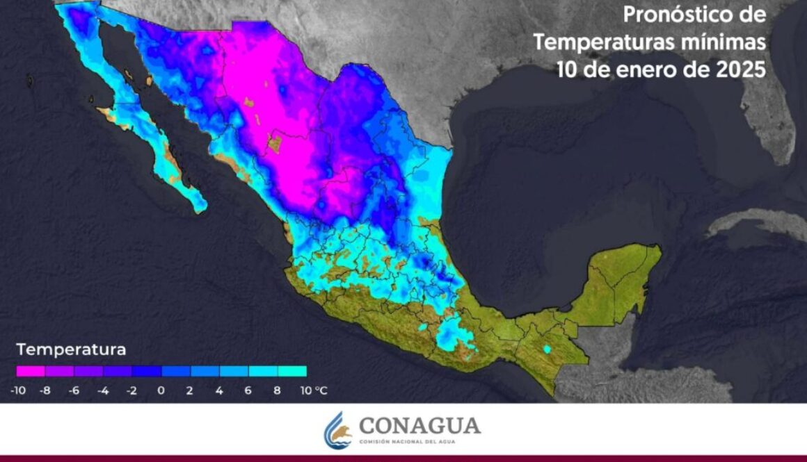 Imagen de WhatsApp 2025-01-10 a las 12.47.26_529dfe0e