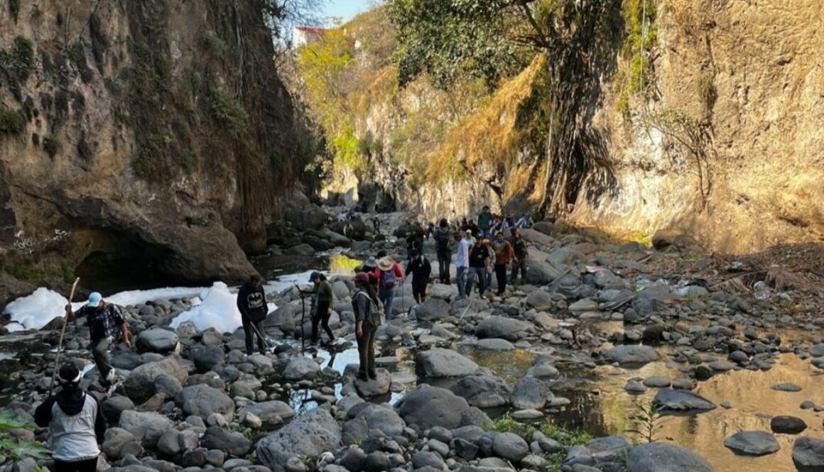 Imagen de WhatsApp 2025-01-27 a las 11.25.23_8e7eb6a3