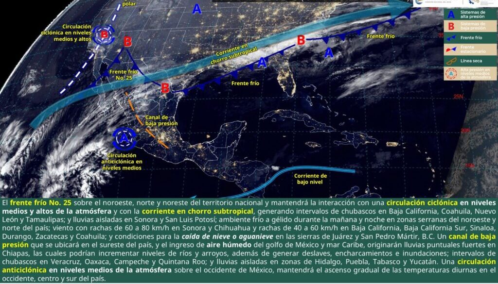 Imagen de WhatsApp 2025-01-27 a las 12.25.26_32317fb8