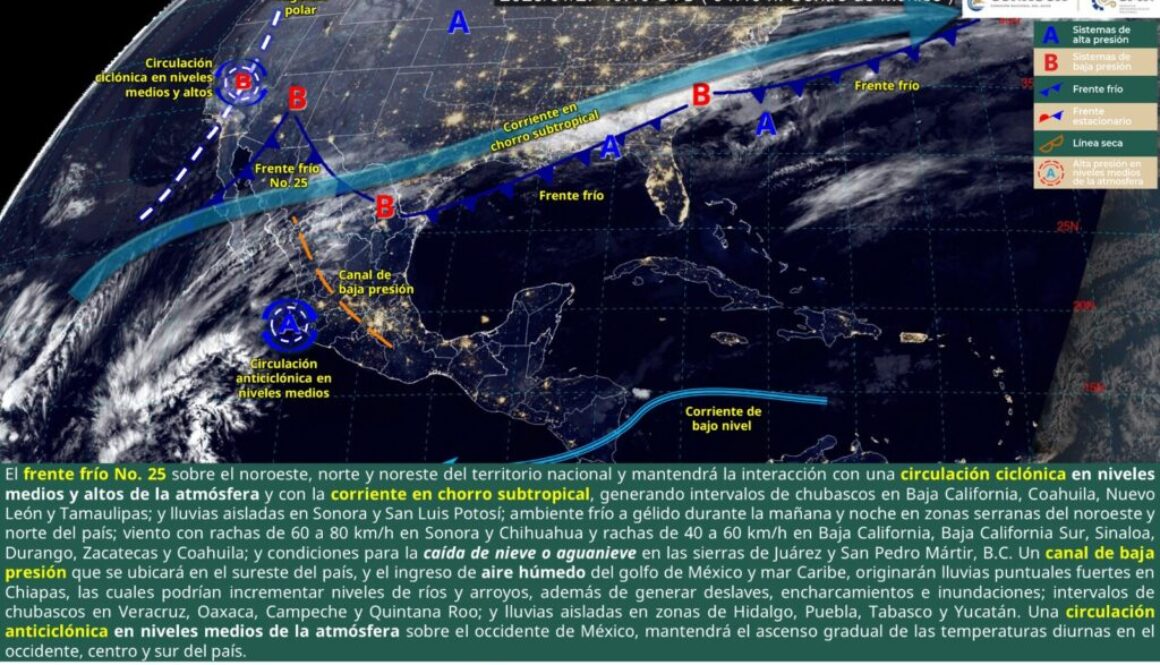 Imagen de WhatsApp 2025-01-27 a las 12.25.26_32317fb8