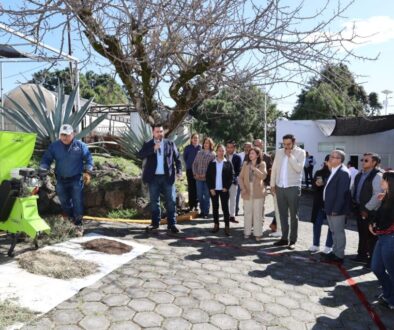 Inicia campaña reciclaje árboles navidad3