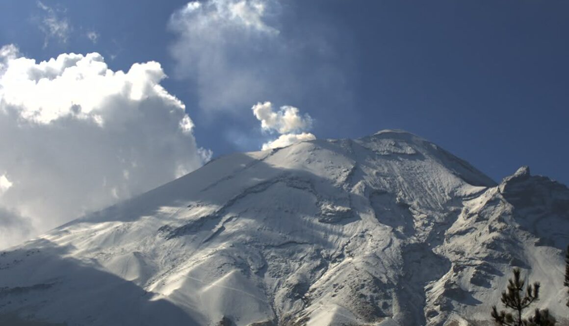 Imagen de WhatsApp 2025-02-04 a las 11.23.44_ca32d9e8