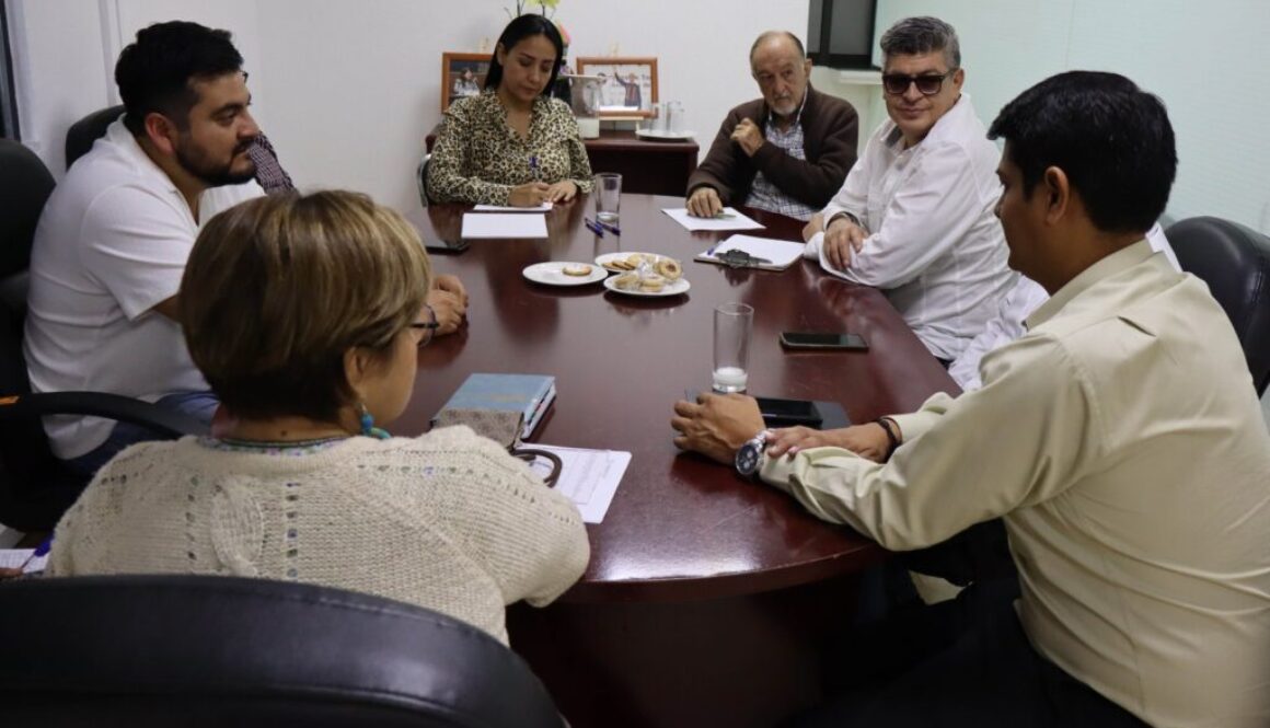 Imagen de WhatsApp 2025-02-05 a las 15.43.03_7ce4132b