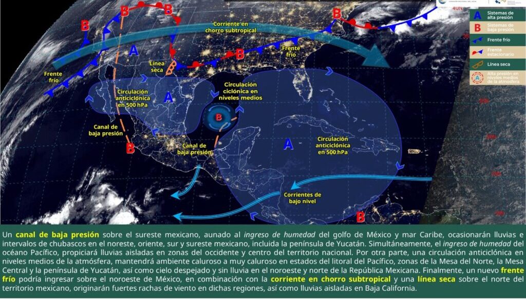 Imagen de WhatsApp 2025-02-07 a las 11.47.31_16aeabf0