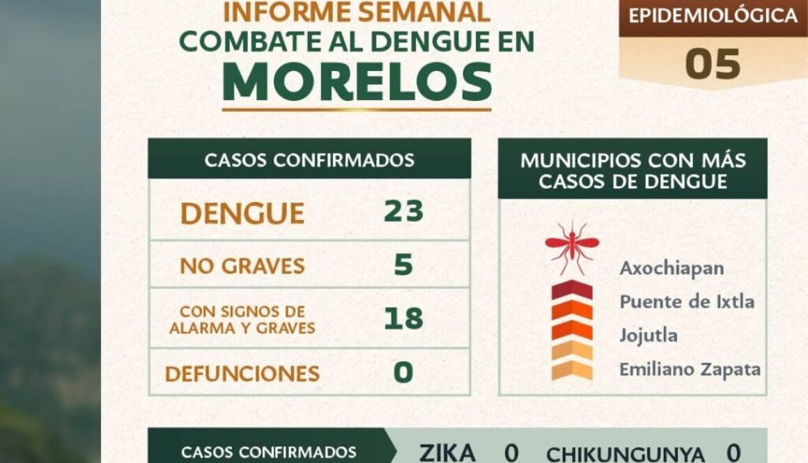Imagen de WhatsApp 2025-02-07 a las 12.31.35_26ca74b3