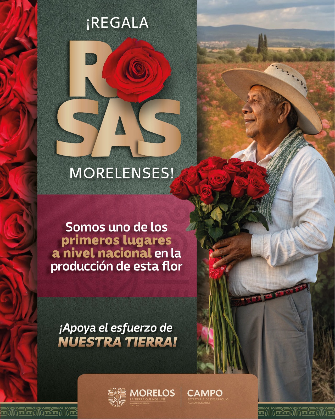 Se consolida Morelos como uno de los principales productores de rosa a nivel nacional: SEDAGRO Se consolida Morelos como uno de los principales productores de rosa a nivel nacional: SEDAGRO