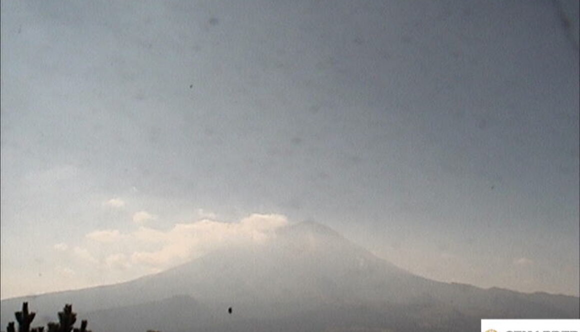 Imagen de WhatsApp 2025-02-11 a las 12.20.11_799db15c