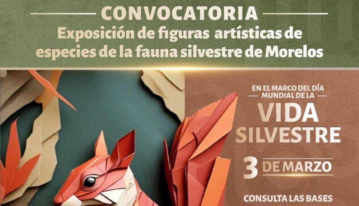 Imagen de WhatsApp 2025-02-11 a las 17.08.15_2fcdf1bcs