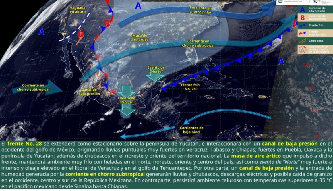 Imagen de WhatsApp 2025-02-21 a las 12.09.00_6d9f660f