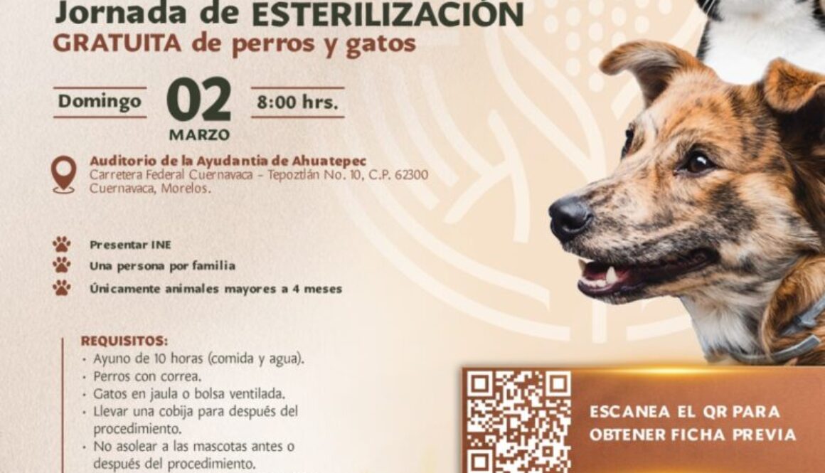 Imagen de WhatsApp 2025-02-25 a las 11.25.41_9a0343cf