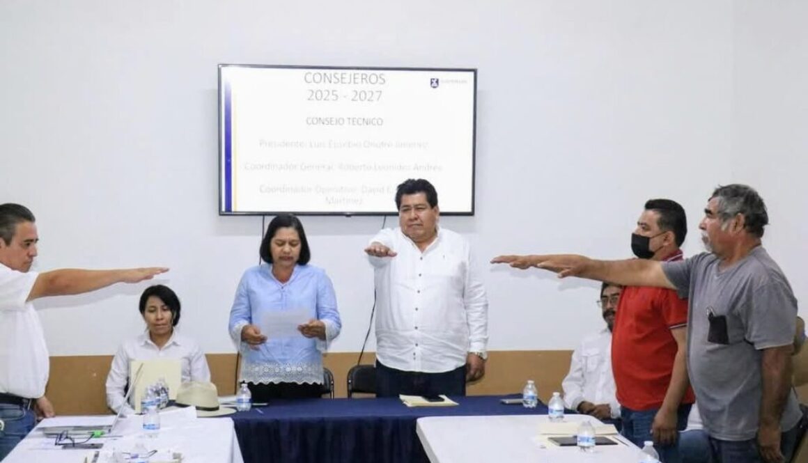 Imagen de WhatsApp 2025-02-25 a las 12.20.32_a26fe5f7